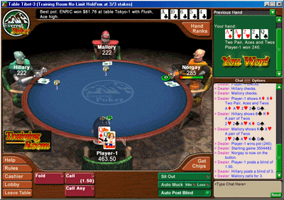 Best poker bot online