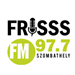 Frisss FM Top 40/Pop