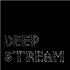 deepStream 