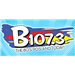 B-107.3 Adult Contemporary