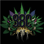 880 - Rock `N Grow 