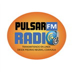 Pulsar FM Radio 