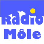 Radio Môle 80`s