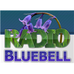 Radio Bluebell Variety