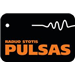 Pulsas Lithuanian Music