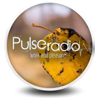Pulse Radio Chill