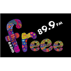 Radio Freee Top 40/Pop