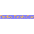 Radio Flash Sud