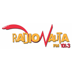 Radionauta 