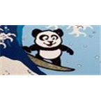 Garbage Panda Punk