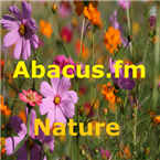 Abacus.fm - Nature Ambient