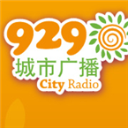 Xinjiang City Radio Business