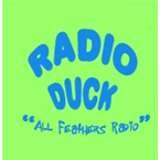 Radio Duck Top 40/Pop
