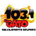 El Gato 103.1 Mexican