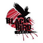 Black Bird Radio Rock