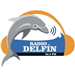 Radio Delfin Top 40/Pop