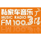 Wenzhou Music Radio Top 40/Pop