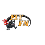 Radio FLY FM Top 40/Pop