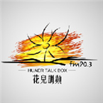 Huaer Talk Box 