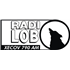 Radio Lobo Spanish Music