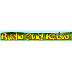 Radio Zvizd Top 40/Pop