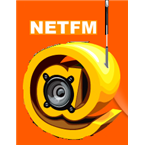 Net FM Electronic