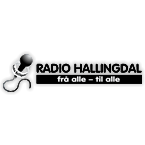 Radio Hallingdal Sports Talk & News