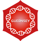 Positively Guernsey 