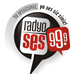 Mersin Radyo Ses Top 40/Pop