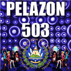 Pelazon 503 