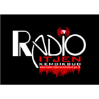 Itjen Kemdikbud Radio 