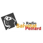Radio Salvetat Peinard French Music