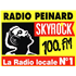 Radio Peinard Skyrock Blues