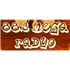 Mega Radyo Top 40/Pop