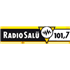 Radio Salü Top 40/Pop