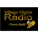 village digital radio pure gold 