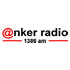 Anker Radio World Music