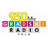 Gradski Radio Top 40/Pop