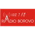 Radio Borovo News