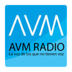 AVM Radio