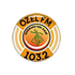 Özel FM Turkish Music