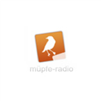 Muepfe Radio Top 40/Pop