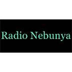 Radio Nebunya Top 40/Pop