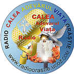 Radio Orastie 