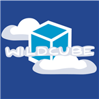 WildCube Top 40/Pop