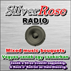 SilverRose Radio Electronic
