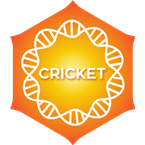 Positively Cricket 