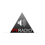 Py Radio Electronic