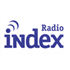 Radio Index Top 40/Pop