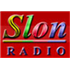 Radio Slon FM Top 40/Pop